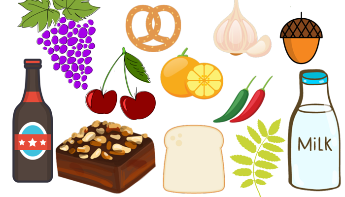 Various Illustrations of Food Items